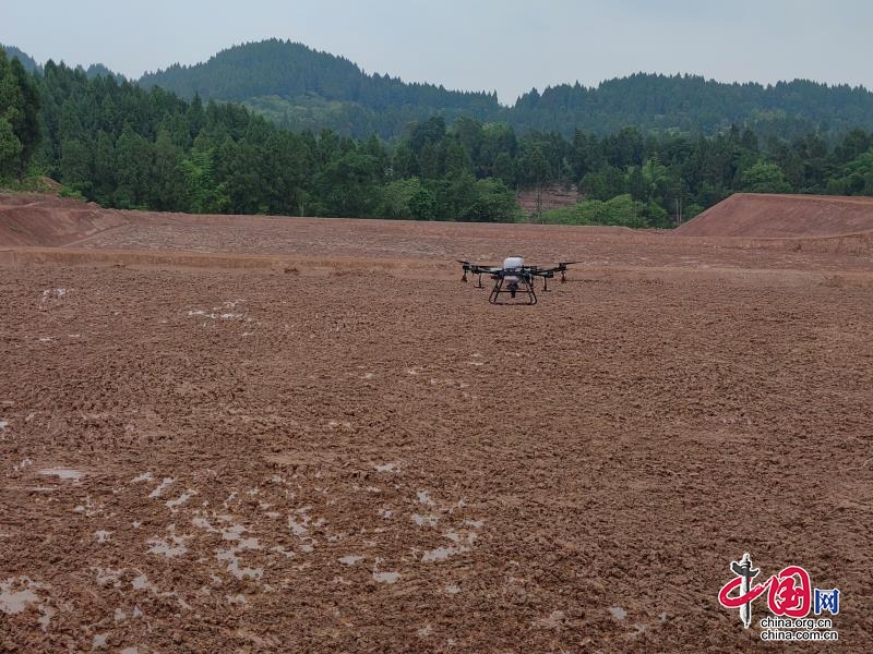 樂至縣佛星鎮：整合閒散土地推進現代農業園區建設