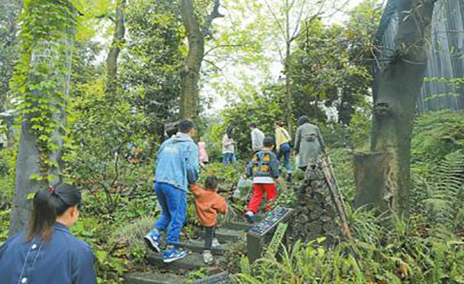 废弃厂房变身生态乐园 在城市中寻找山野之趣