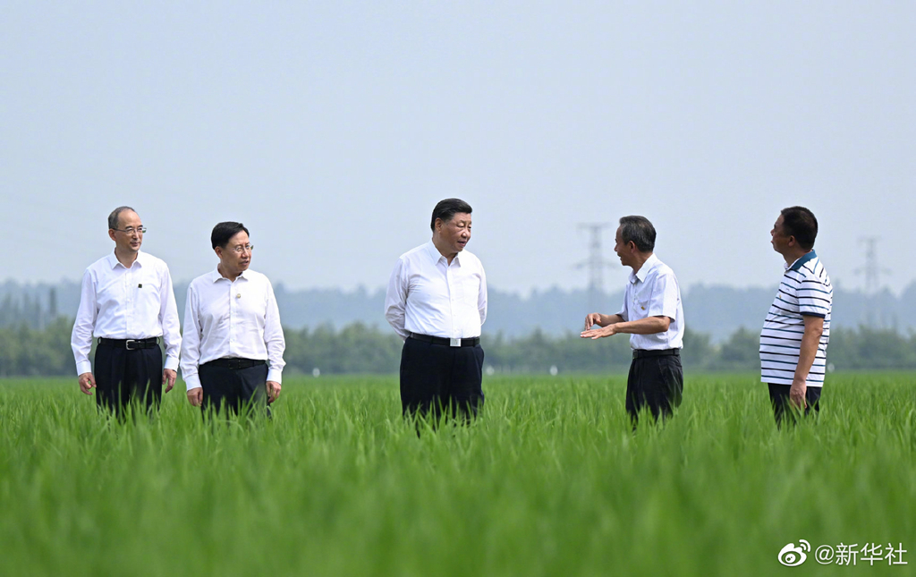 习近平在四川眉山市考察调研