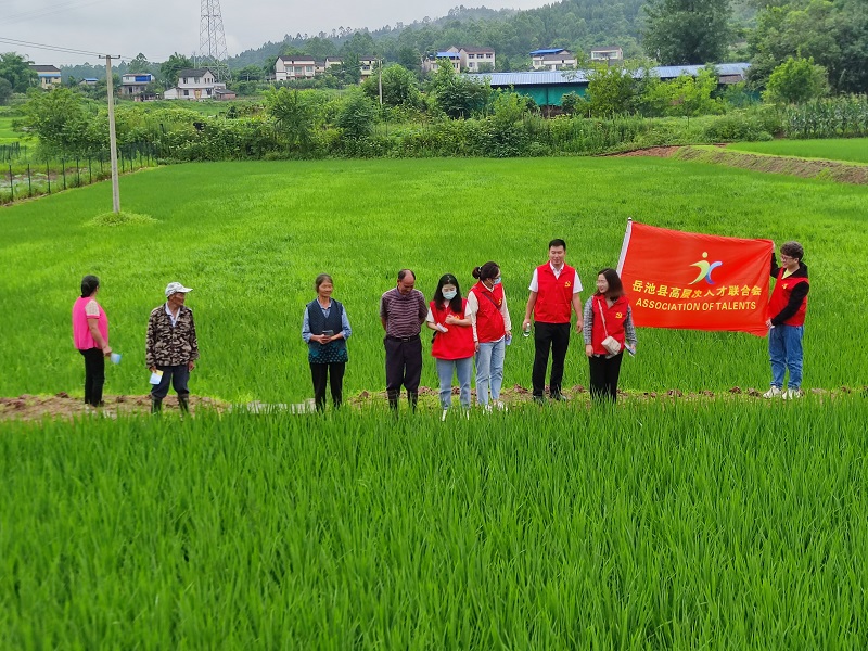 學深學實黨代會 獻智獻力新征程 岳池縣高層次人才聯合會黨支部開展省第十二次黨代會精神宣講主題黨日活動