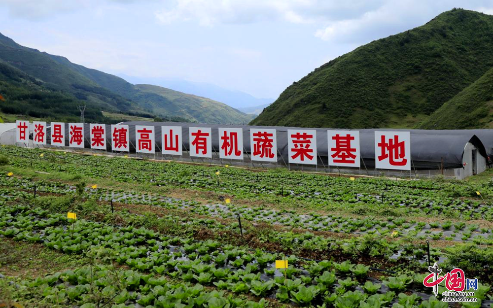 綿竹市攜手甘洛縣共奏鄉村振興奮進曲