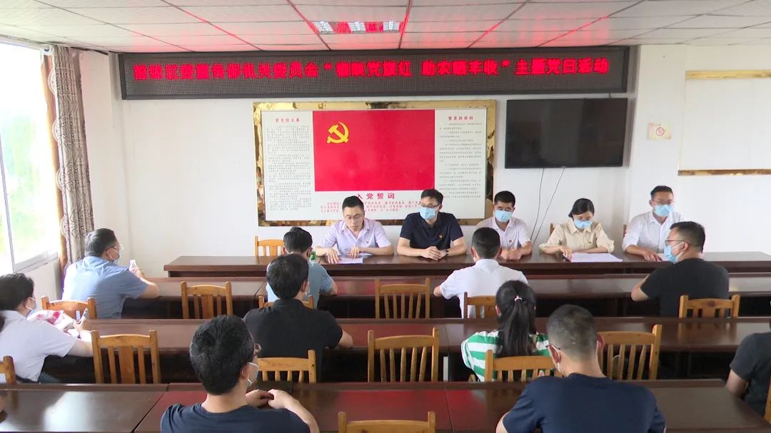前锋区委宣传部机关党支部开展“椒映党旗红 助农晒丰收”主题党日活动