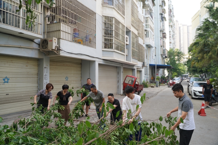 射洪市太和街道保河社区党员志愿者修剪树枝解民忧