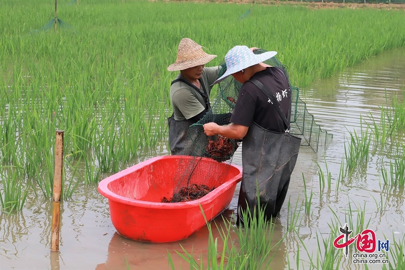 兴文县：延伸农产品产业链 实现增收增益