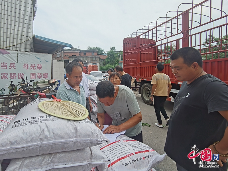 自贡沿滩：抓好大豆扩种 促进农民增收