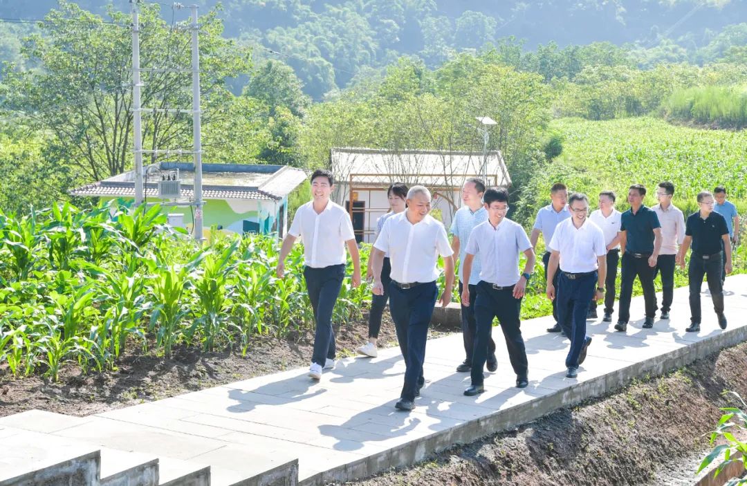 广安区委书记文阁调研现代农业产业发展、乡村振兴工作