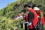 四川農業大學情系三農團隊到隆昌市黃家鎮開展暑期社會實踐 賦能鄉村振興