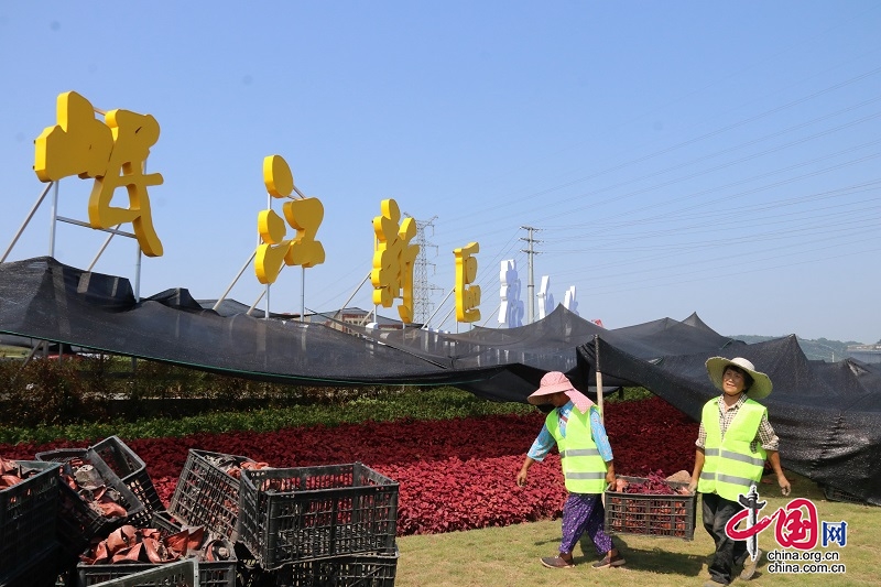 宜宾翠屏：城市“颜值”再升级  门户形象又“刷新”