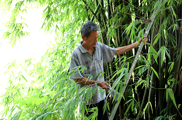 篾匠老范：五十載如一日，指尖上的堅守