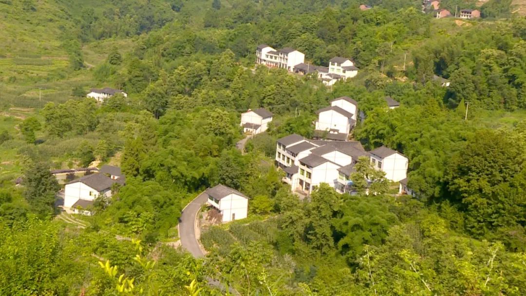邻水县观音桥镇：凝心聚力，深耕细作建设邻西北生态农业融合发展区