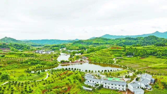 岳池县：中药材+产业+旅游 让村民增收村子更美