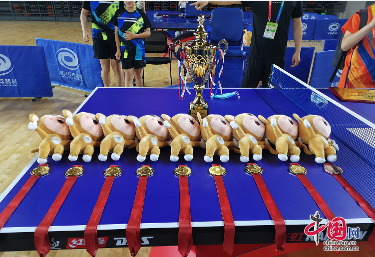 “乒”出实力 南充小将在四川省第十四届运动会乒乓球比赛中勇夺三金一铜