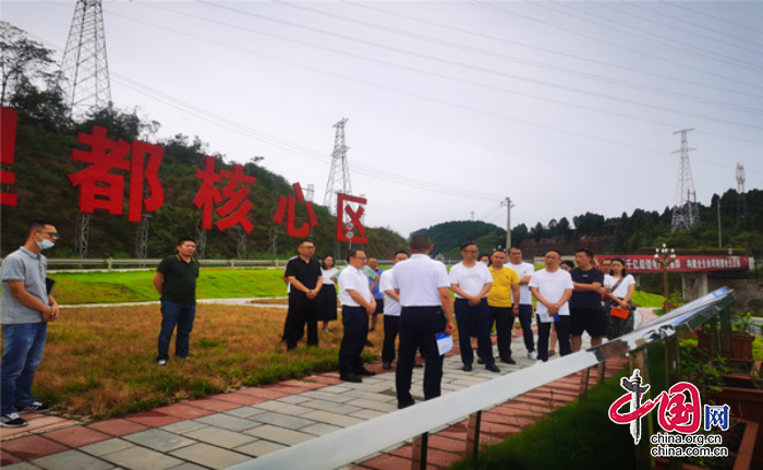 遂宁市清理盘活存量建设用地工作现场会在射洪市召开