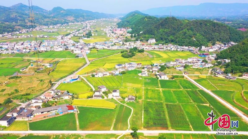 兴文县20万亩水稻陆续开镰收割