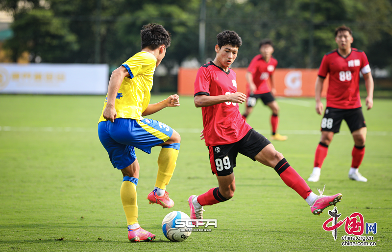 “体总杯”三大球四川城市联赛 成都男足夺冠