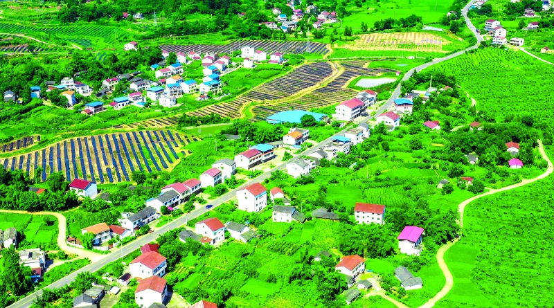 四川嘉陵：農村道路暢安舒美