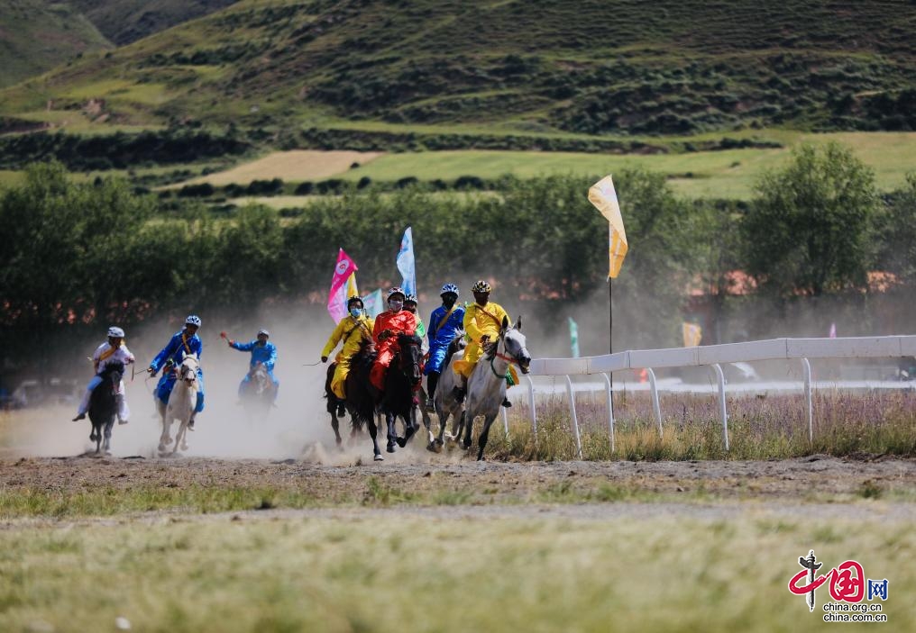 草原上的“速度与激情”2022年“壤巴拉文旅”活动赛马会开赛
