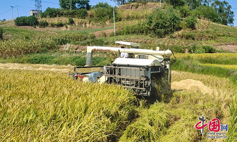 自贡市大安区扎实开展水稻机收作业安全大检查