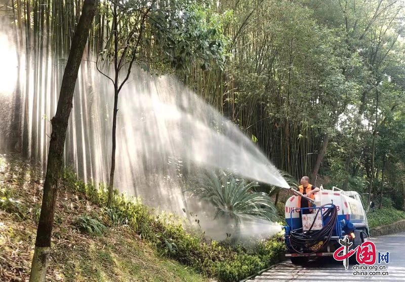 顶住高温 巡山护林 ——宜宾翠屏多举措加强森林火灾预防