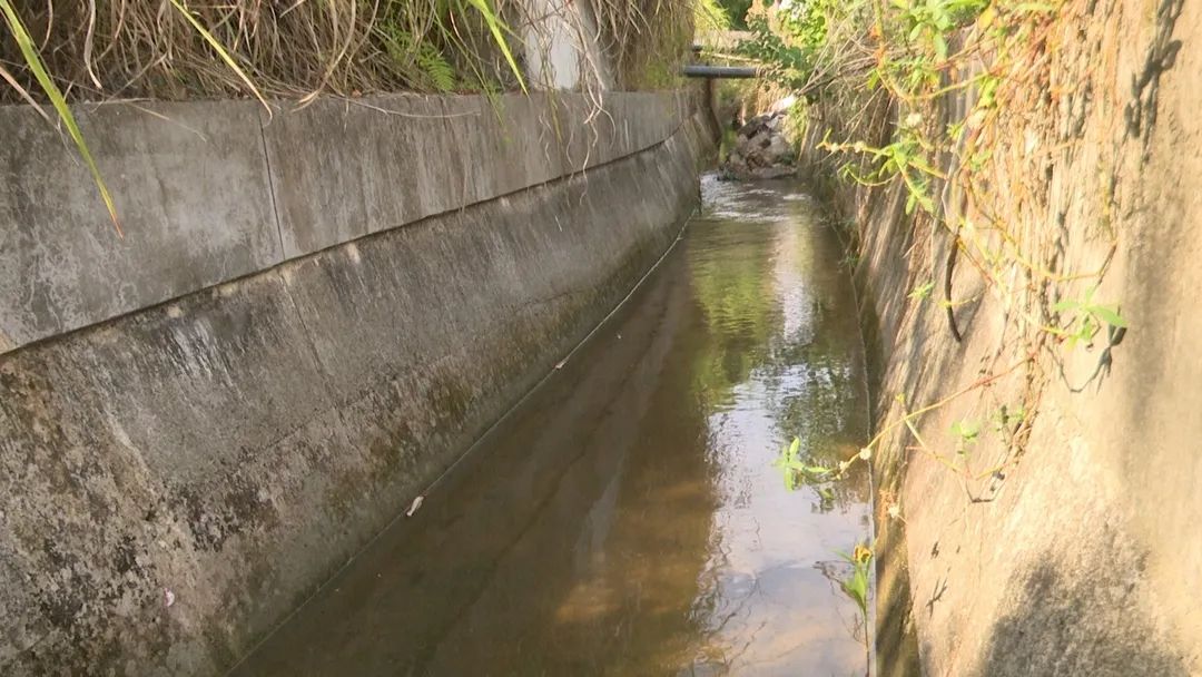 前鋒區：送水抗旱穩生産 多措並舉保民生