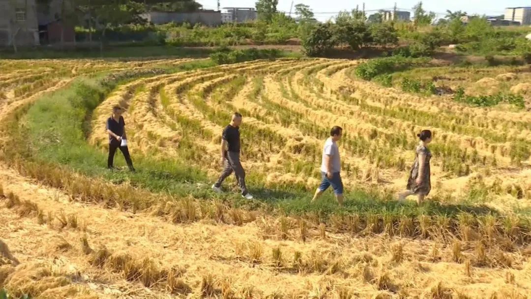 【堅決打贏森林防滅火攻堅戰】“千里眼”助力森林防滅火