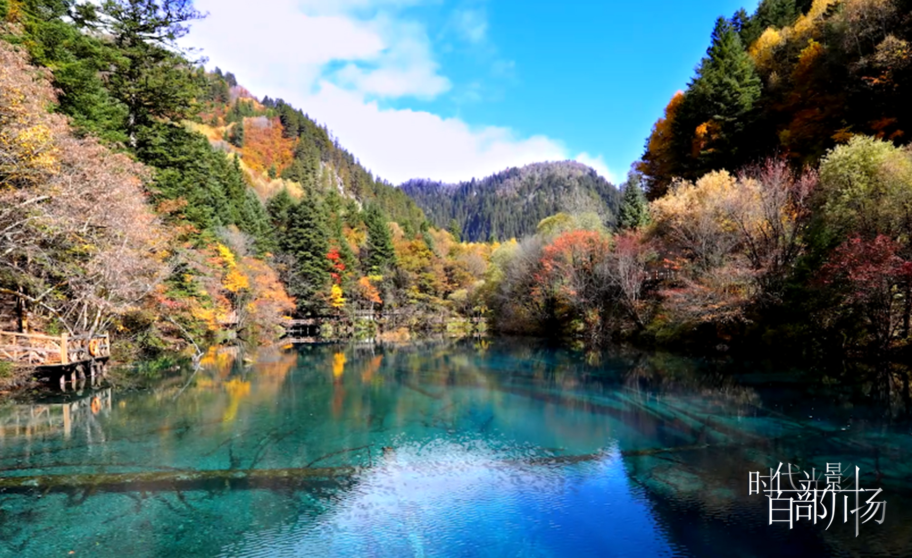 時代光影 百部川揚|《未來已來》