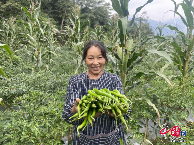 峨眉山市：咬定青山不放鬆，借勢破局繭化蝶