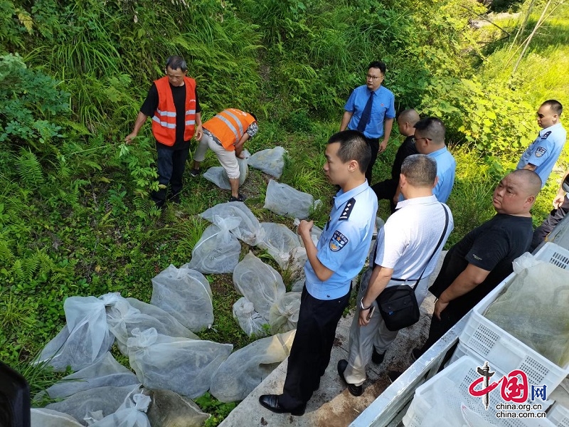 护航绿水青山 四川公安严厉打击破坏野生动物违法犯罪