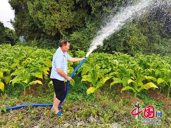 古藺縣皇華鎮：面對60年一遇的極端乾旱，老楊家6個水桶卻下了崗