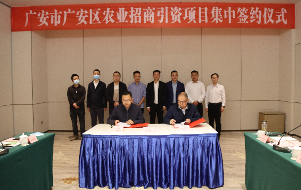 1.5亿元的大喜事！9月27日，广安区集中签约5个农业产业项目