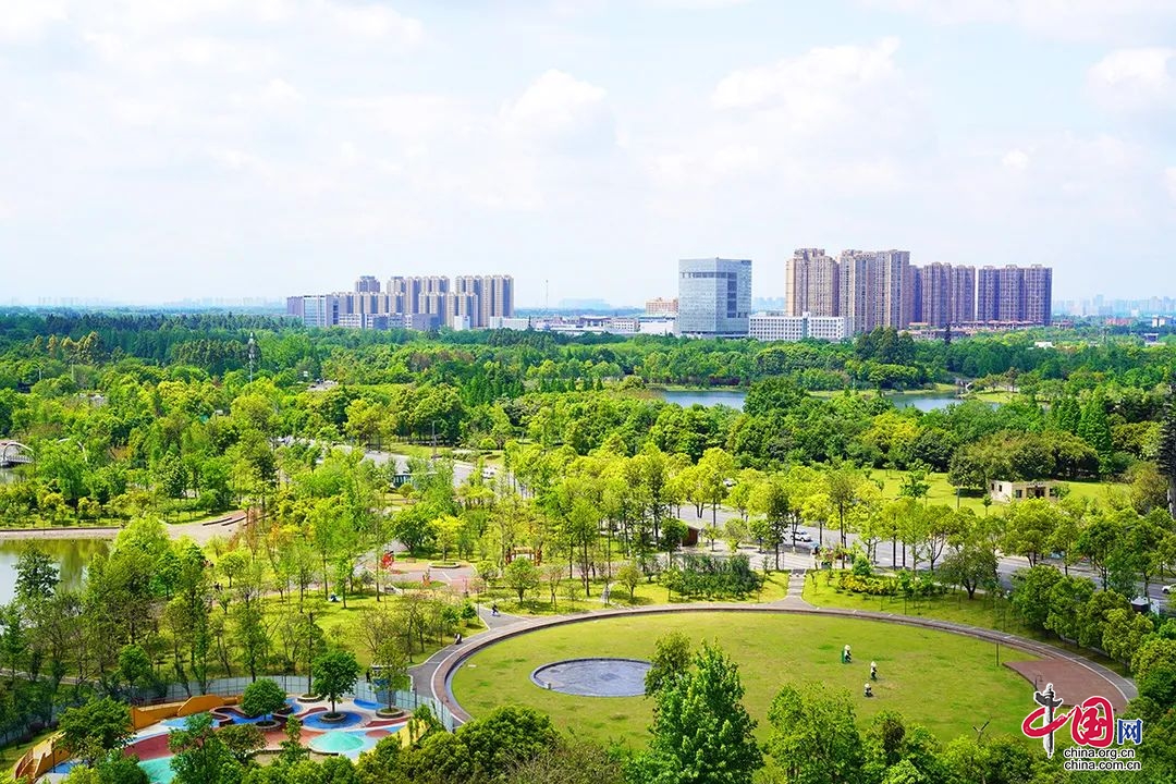 成都双流：儿童友好、青年乐活、老年颐养...这个城市的善意还不止这些！