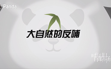 时代光影 百部川扬|​《大熊猫国家公园》
