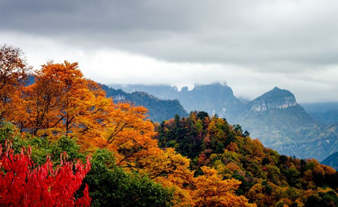 第二十届四川光雾山国际红叶节将于11月1日开幕