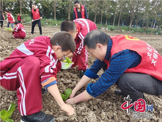 江油市文化街小学开展劳动实践主题党日活动