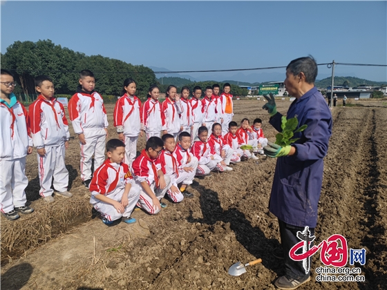 江油市勝利街小學開展2022年秋季勞動教育實踐活動