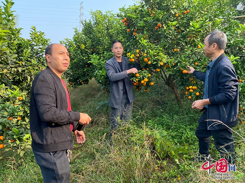 自贡富顺县：科普示范引领 带动村民致富