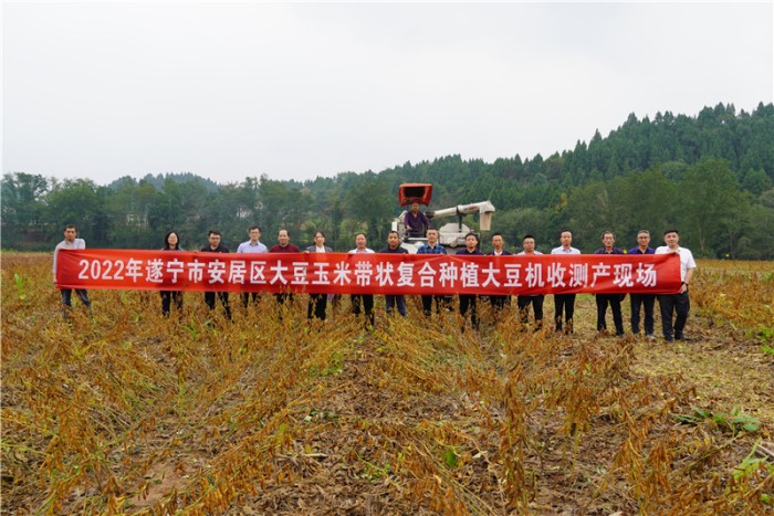 亩产大豆180.2公斤！遂宁市创造全国玉米大豆带状复合种植高产纪录