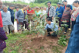 隆昌市雙鳳鎮芭蕉村：探索統戰“5+”模式 助力鄉村全面振興