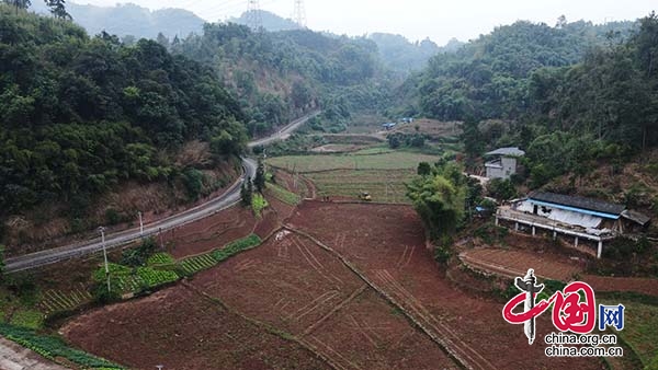 瀘州合江：喚醒“撂荒地” 繪就鄉村振興美景