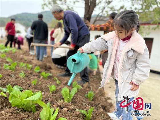 綿陽市定遠小學開展蔬菜種植勞動實踐活動