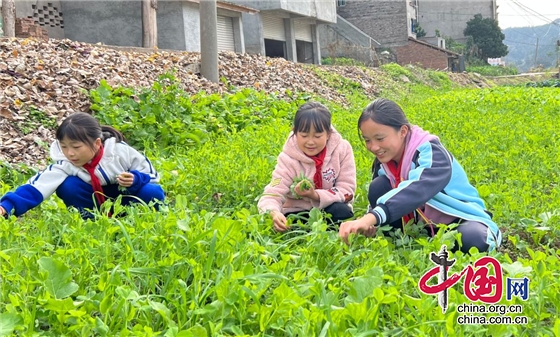 綿陽市鹽亭縣茶亭小學開展勞動教育實踐活動