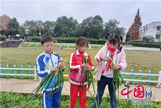 溫暖如約至 餃香滿校園 綿陽市戰旗小學開展勞動實踐體驗活動