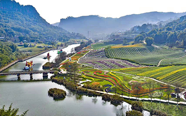 泸州大渡口镇：茶酒旅深度融合 绘出乡村旅游新场景