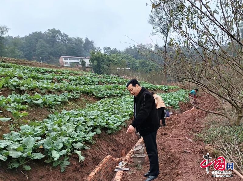 高场镇：修筑排水沟渠 解决群众难题