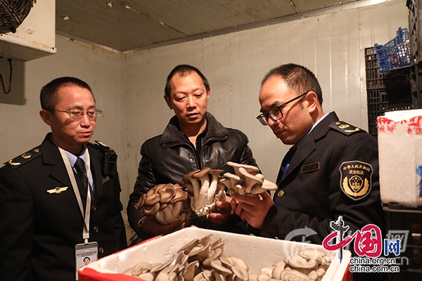 瀘州龍馬潭：又到年終歲末時，嚴守食品安全的“第一道防線”