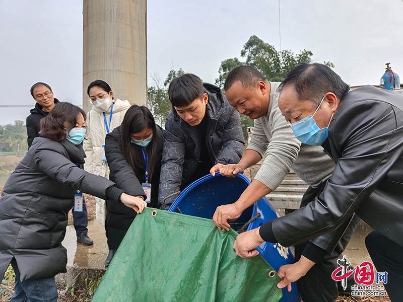 自贡市富顺县天然水域增殖放流70万尾鱼苗