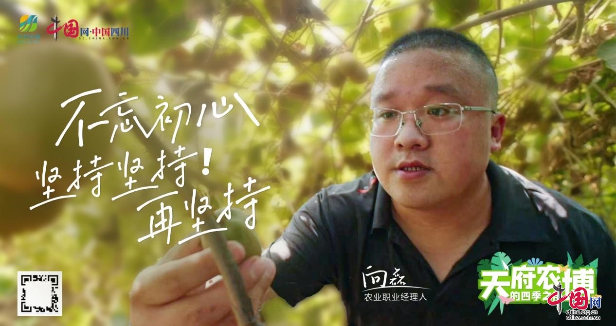 向磊：猕猴桃架下的“新农人”