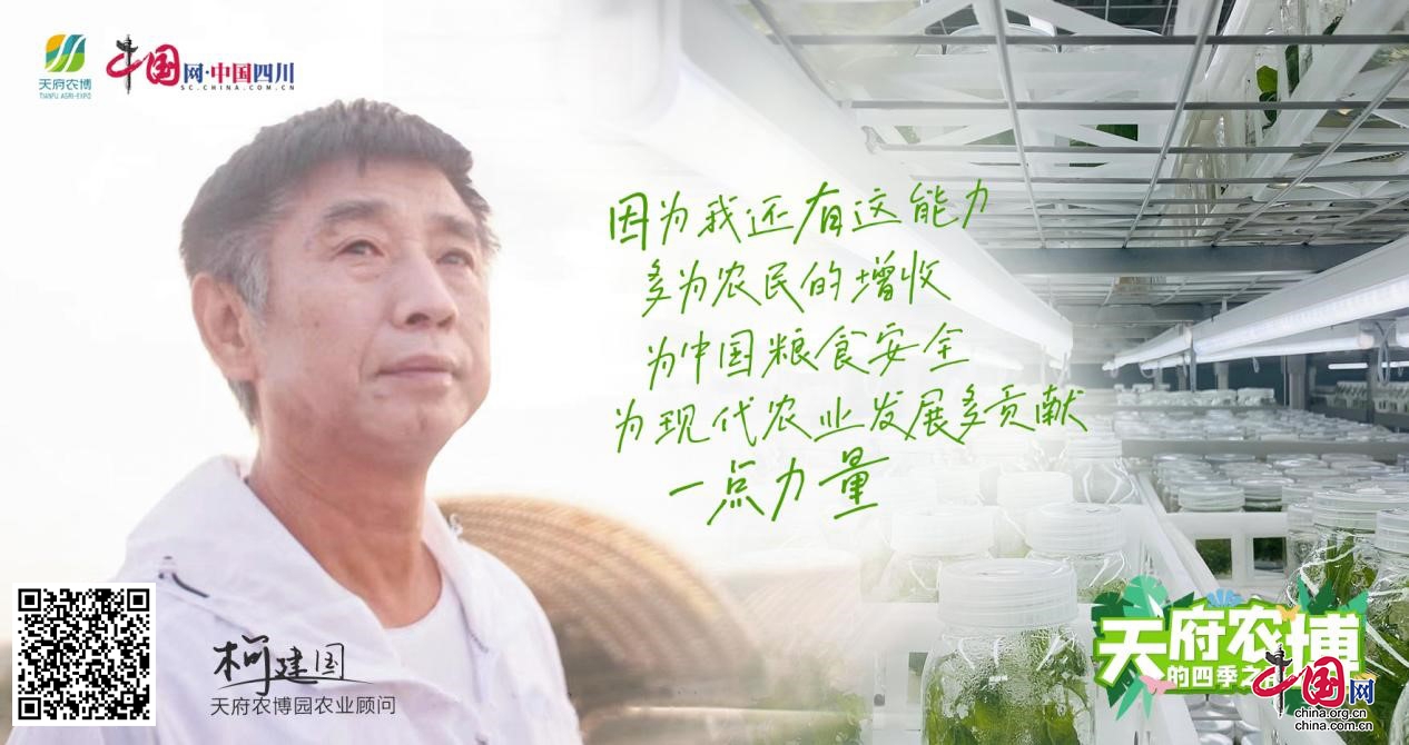 柯建国：躬耕农业五十载 心系田野尽职守