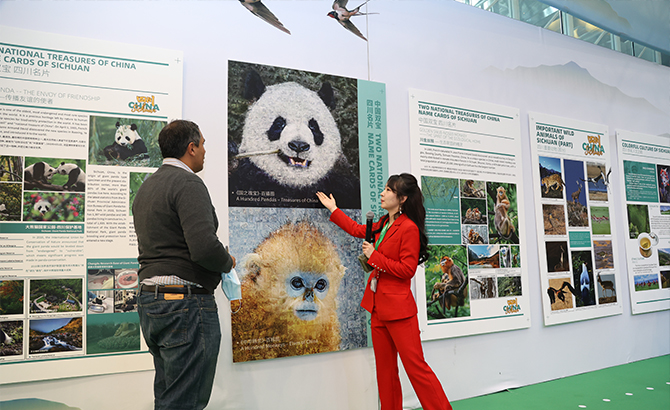 守护熊猫家园的智慧 COP15的四川贡献