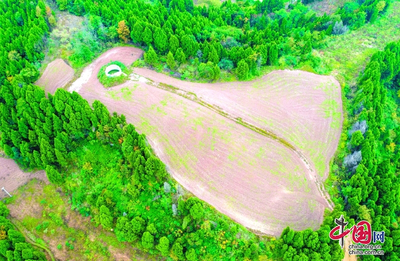 新增灌溉面积约300亩 嘉陵区大兴乡枫木桠村高效节水灌溉工程完工